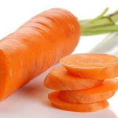 Экстракт моркови, масляный
