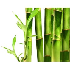 Экстракт бамбука, сухой